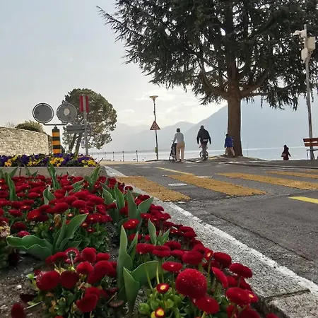 Maggiore Waterfront Retreat - Walking Distance To Everything