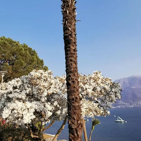 Maggiore Waterfront Retreat - Walking Distance To Everything アパート Muralto